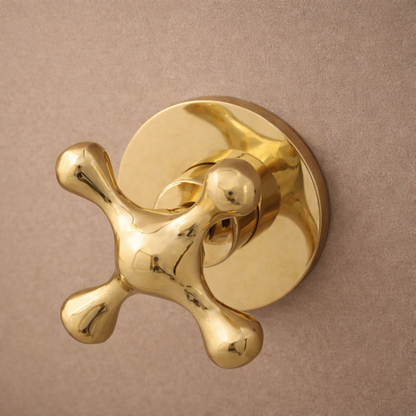 Unlacquered Brass Shower Set – Spa-Style Wall-Mount Design
