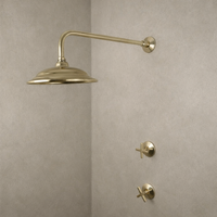 Unlacquered Brass Shower Set – Spa-Style Wall-Mount Design